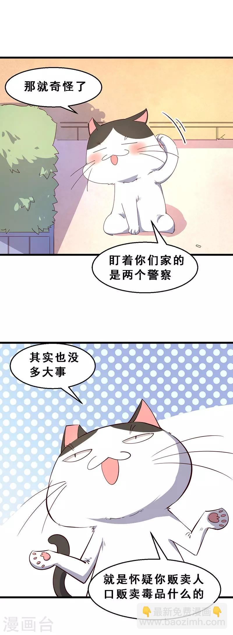 第41话 &lsquo;南瓜汤&rsquo;行动-第42话