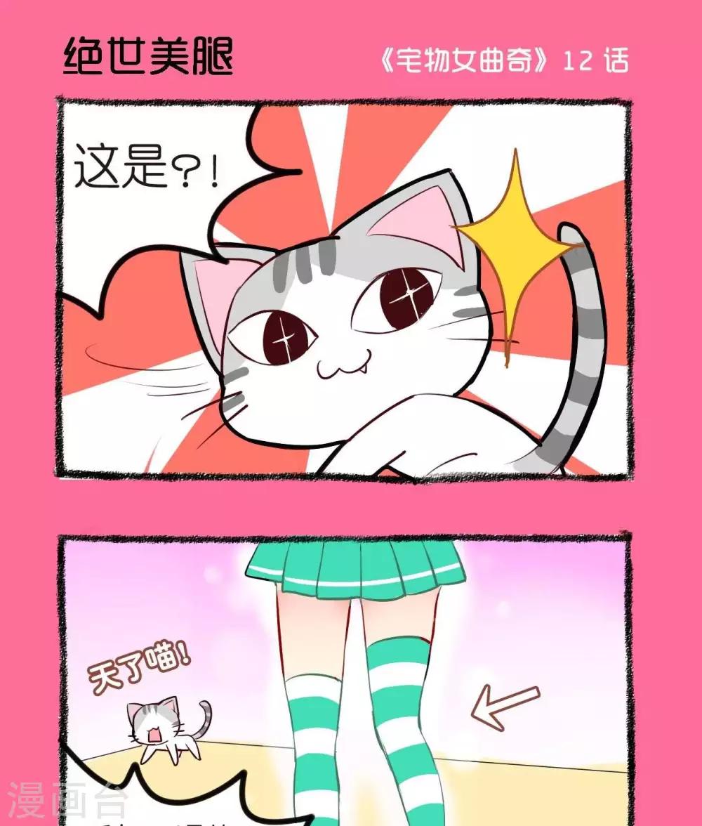 第12话  绝世美腿-第12话