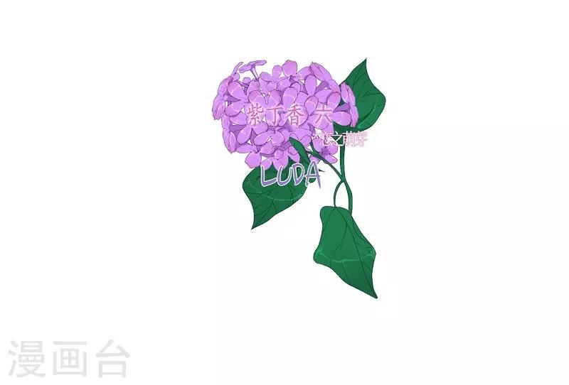 第35话 紫丁香6(1/2)-第36话