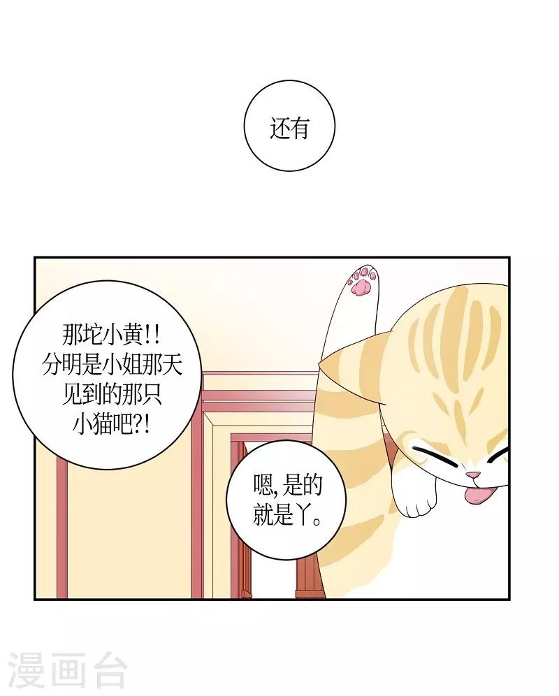 第7话 蔷薇3(1/2)-第8话