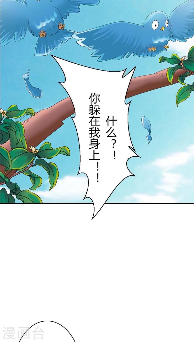 第3季11话 躲猫猫-第146话