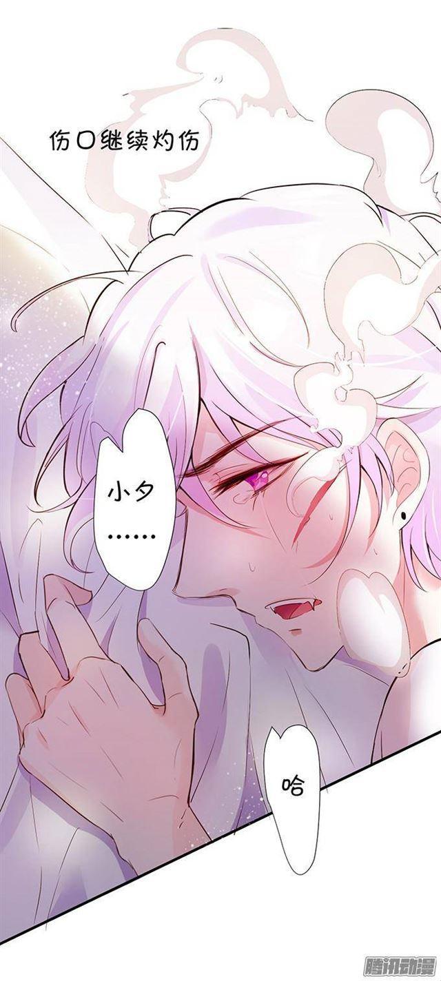 小夕的舌尖血(1/2)-第12话