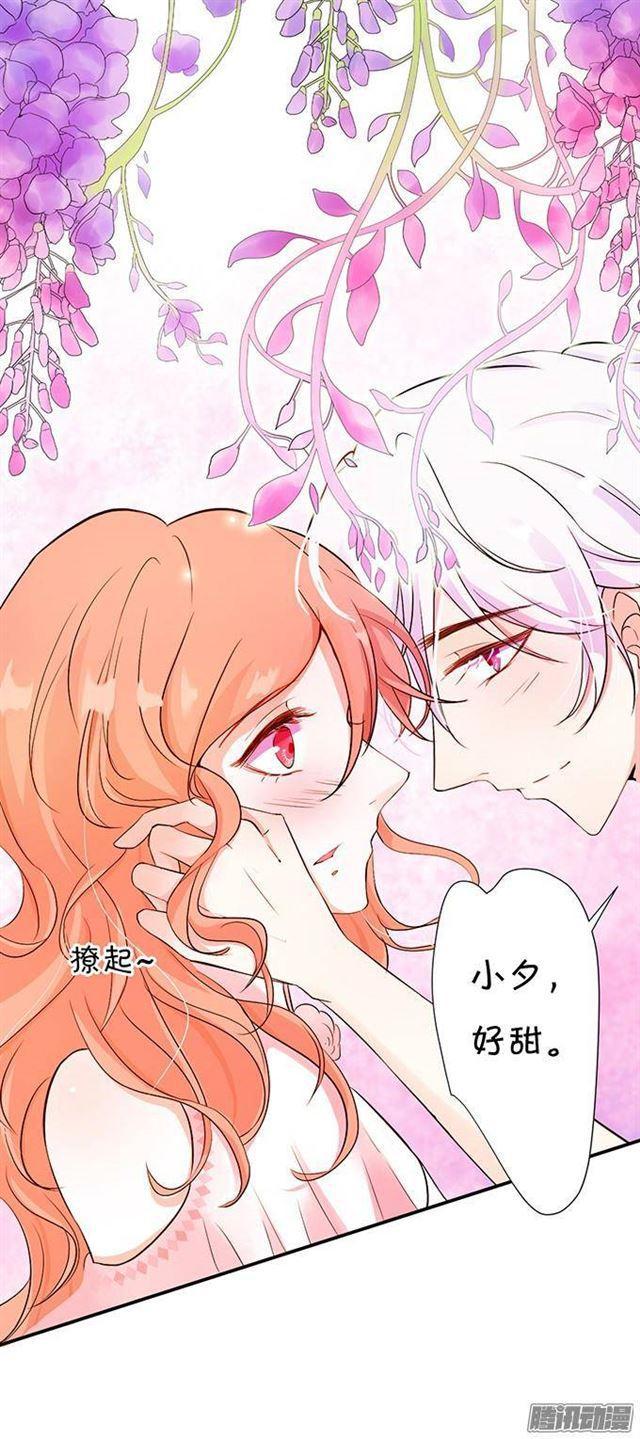 小夕的舌尖血(1/2)-第12话