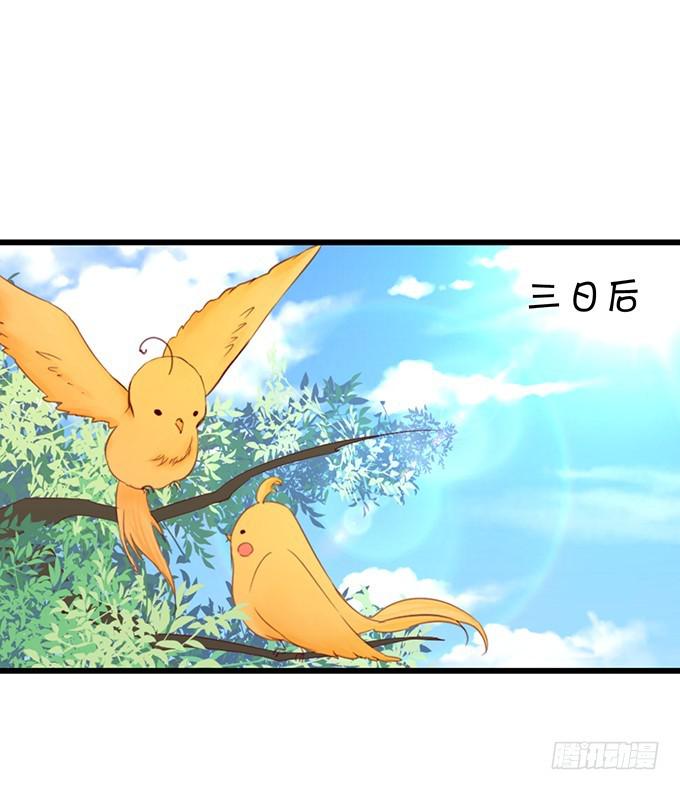 小美人，你是在邀请我吗？(1/2)-第192话