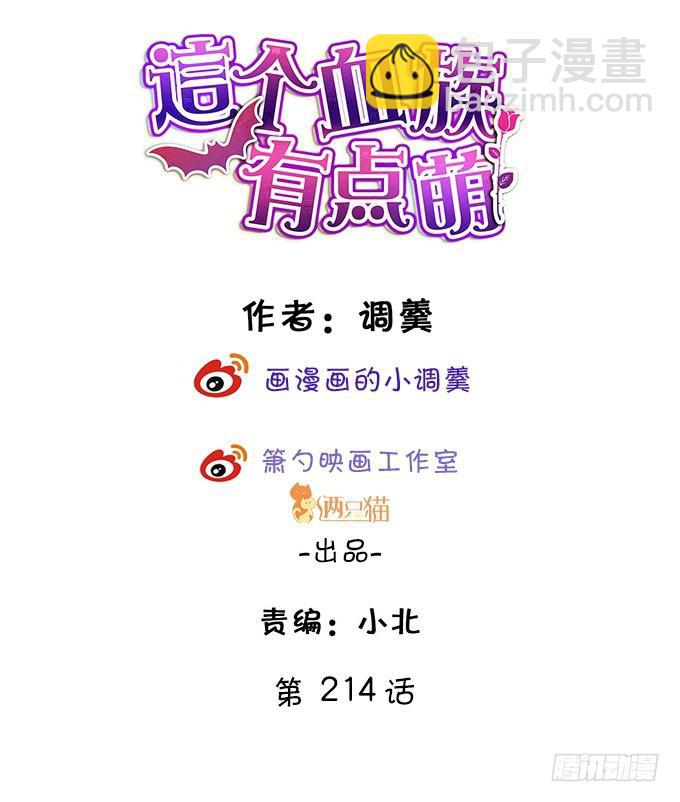 第一季完结篇！(1/2)-第220话