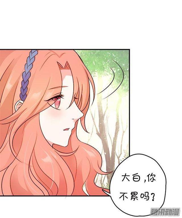 我愿用我的生命守护你！(1/2)-第30话