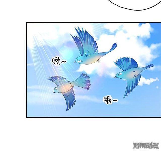 我愿用我的生命守护你！(1/2)-第30话