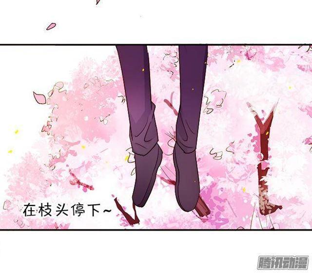 我愿用我的生命守护你！(1/2)-第30话