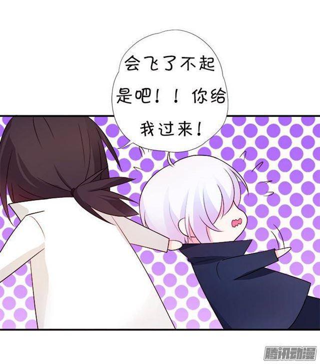 我愿用我的生命守护你！(1/2)-第30话