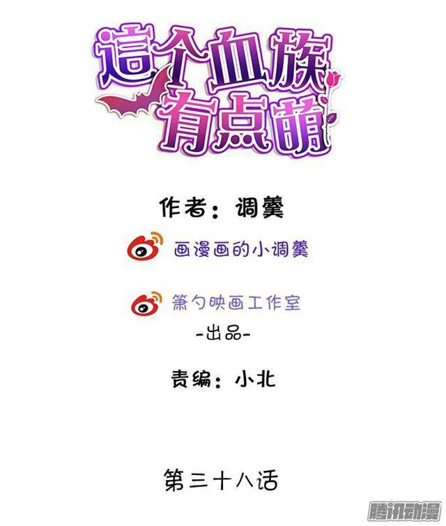 大白的过去(1/2)-第38话