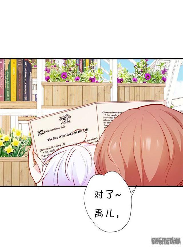 大白的过去(1/2)-第38话