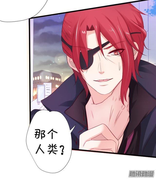 快把小夕还给我！(1/3)-第62话