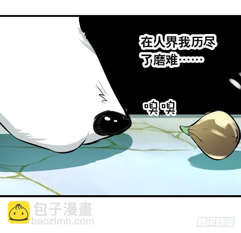 018 来自仙界的种子-第18话