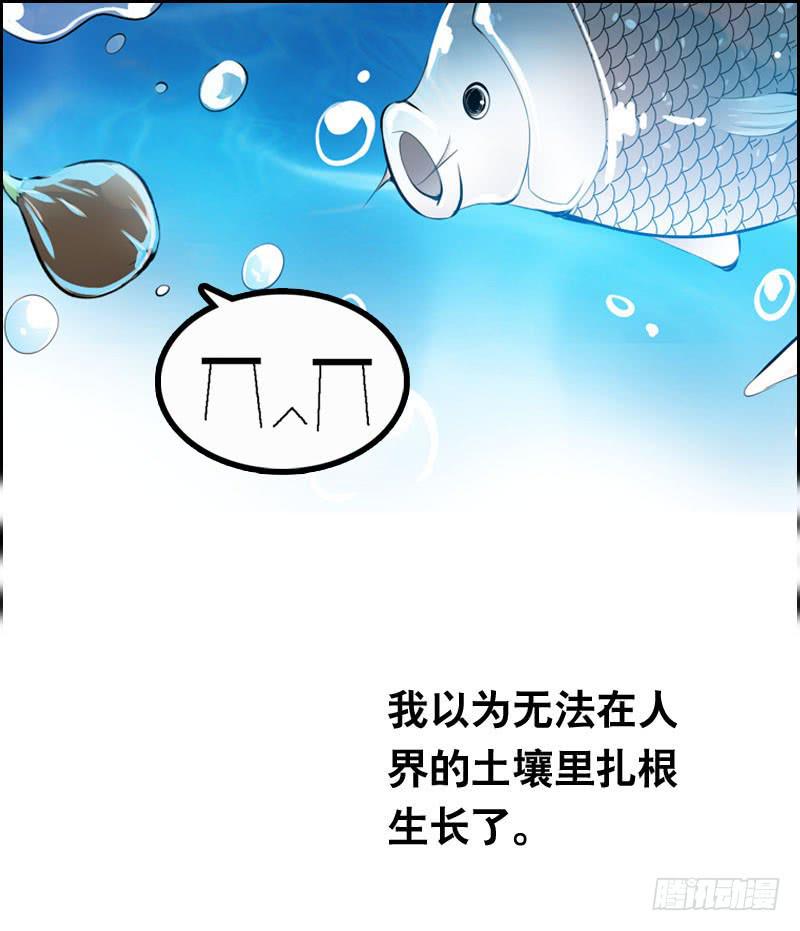 018 来自仙界的种子-第18话