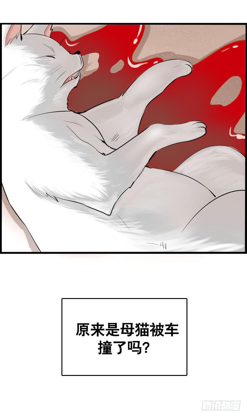 034 日记中的回忆&hellip;&hellip;-第34话