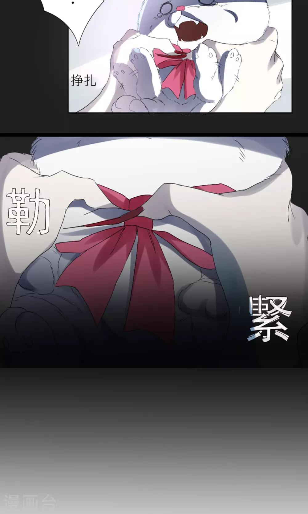 第1话 从汪变成人类-第2话