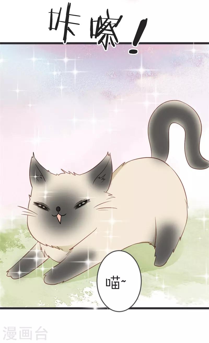 第103话 朵朵郡主的托付-第108话