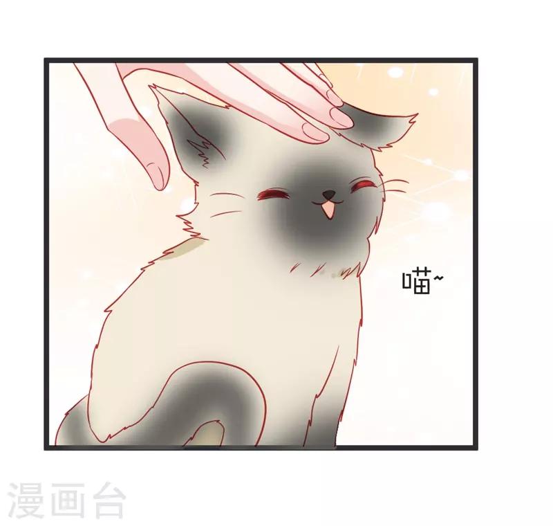 第103话 朵朵郡主的托付-第108话