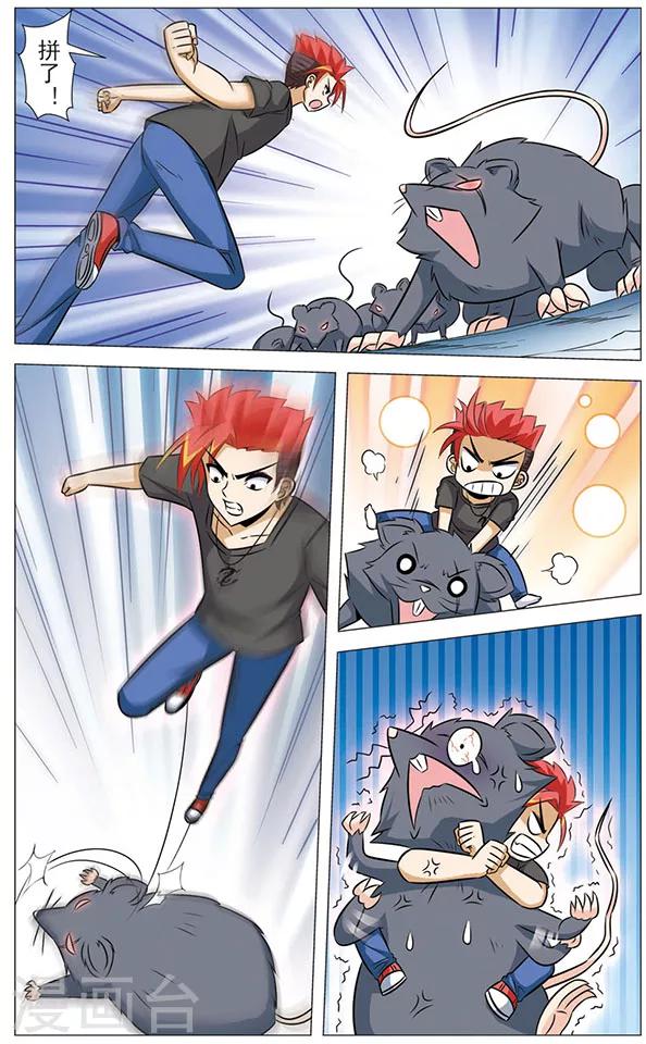 第68话 猫皇与黑龙-第68话