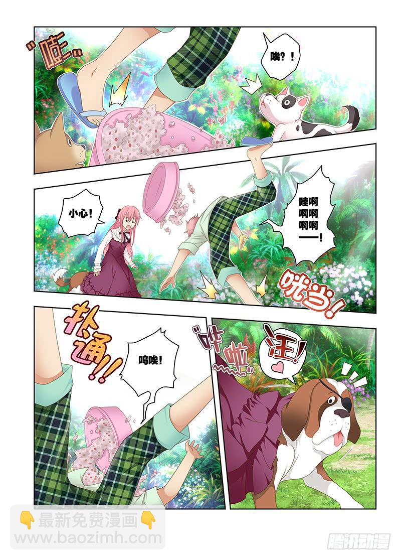 144,我的猫仙妹妹-上-第146话