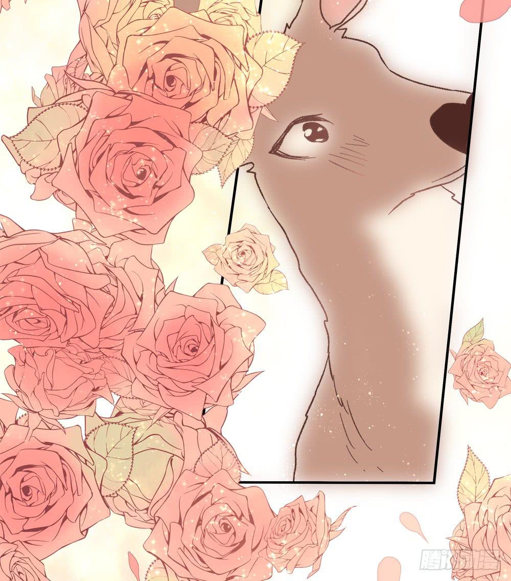 小鹿被撞-第32话