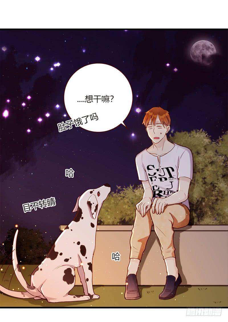 106话 （更新）梦境奇缘-6(1/2)-第106话