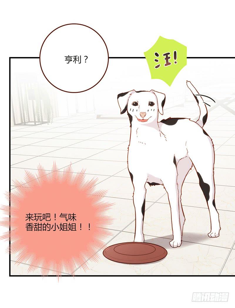 108话 （更新）梦境奇缘-8-第108话