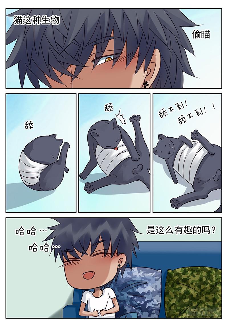 030 逗猫-第34话