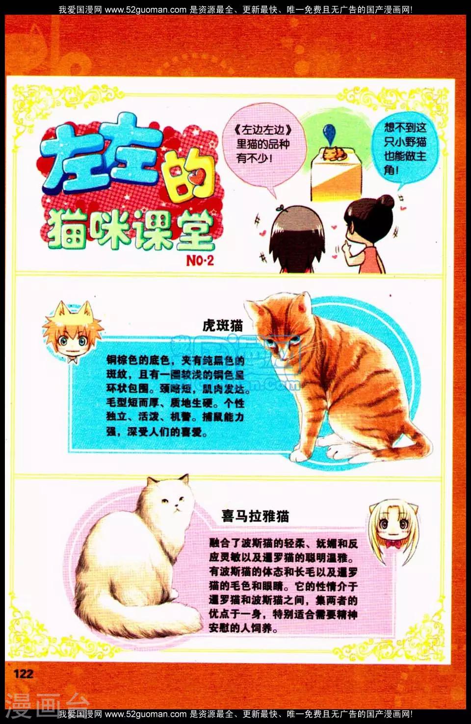 左左的猫咪课堂2-第2话