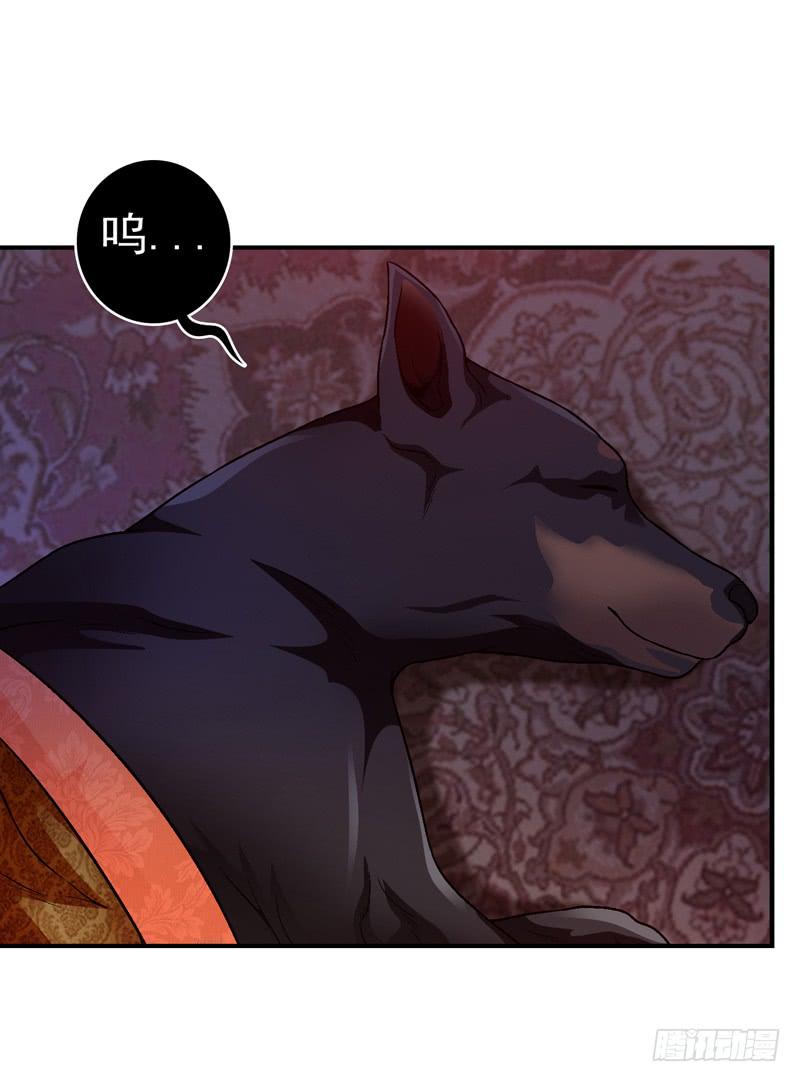 坐下聊聊-第50话