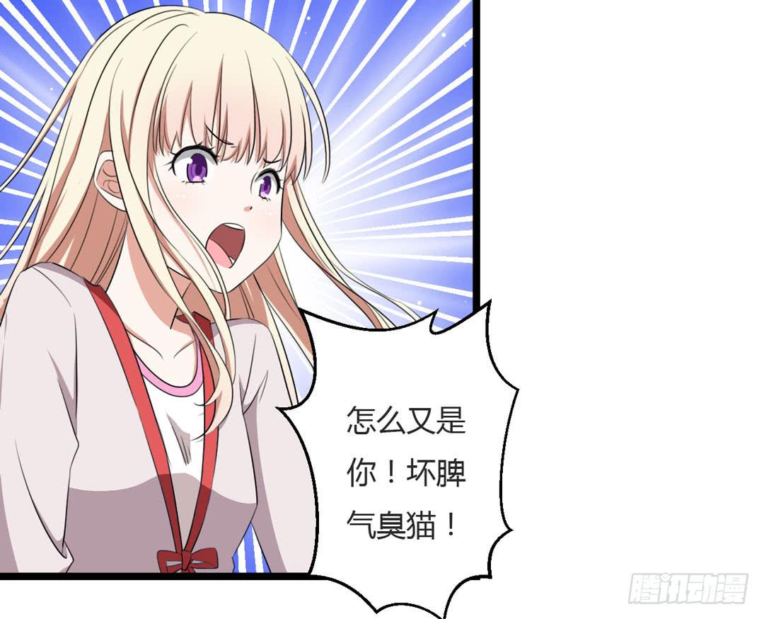 又见面了臭魔女(1/2)-第12话
