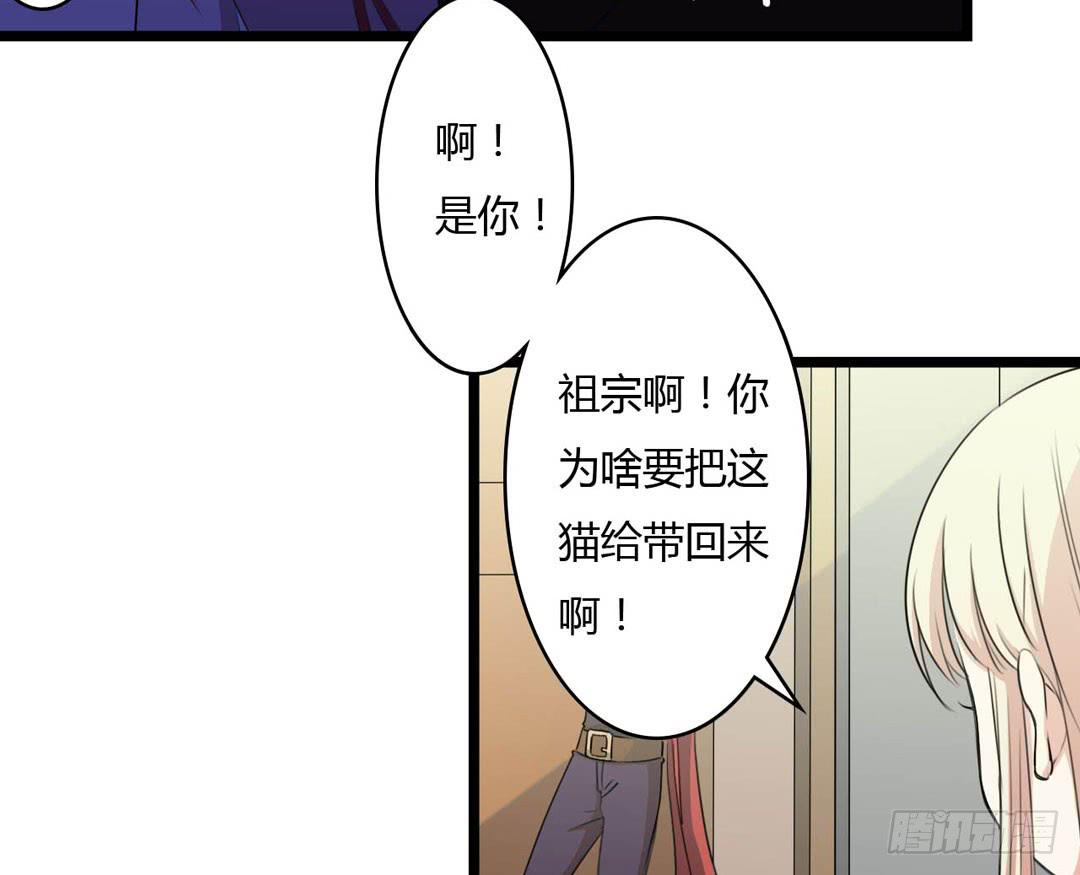 又见面了臭魔女(1/2)-第12话