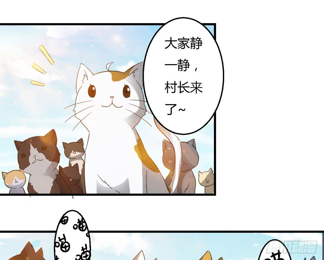 猫灵村29