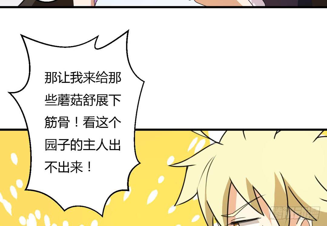 园子里的主人-第40话