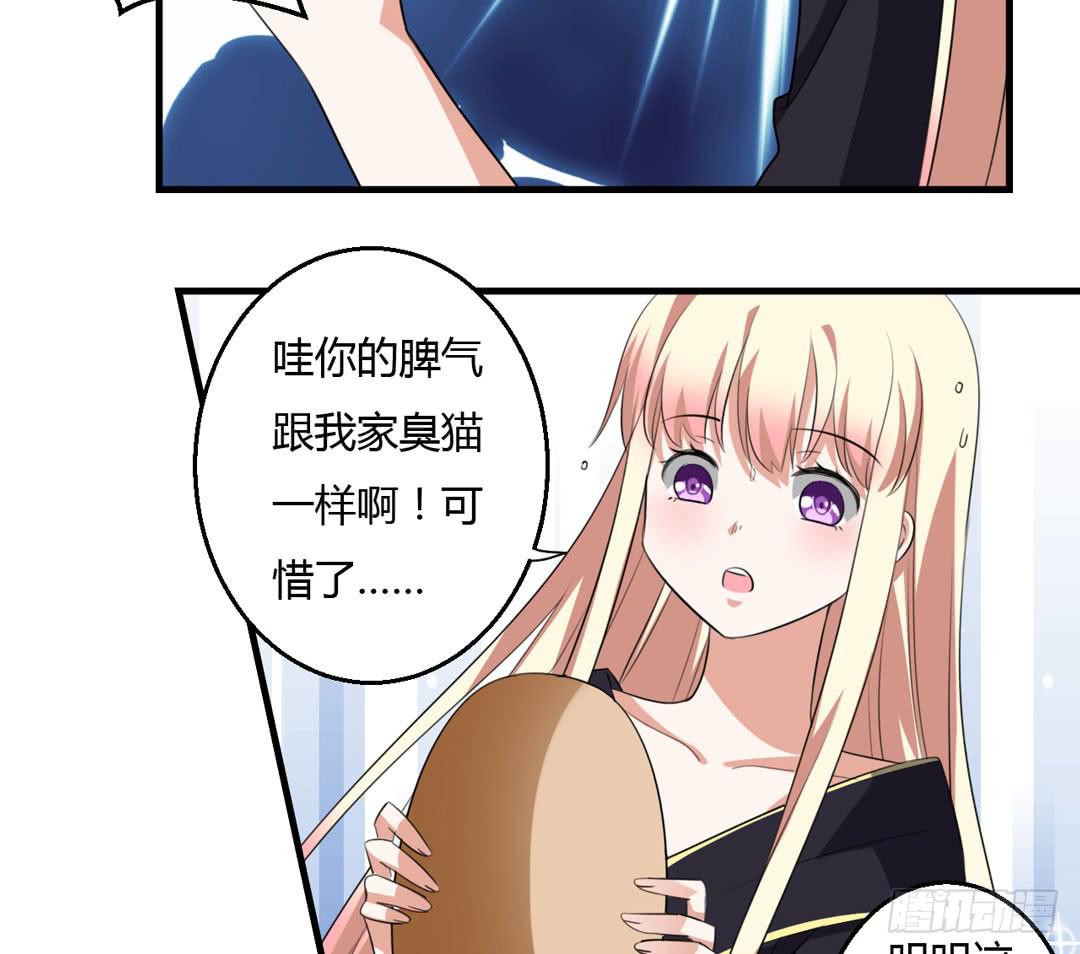 事情解决(1/2)-第44话