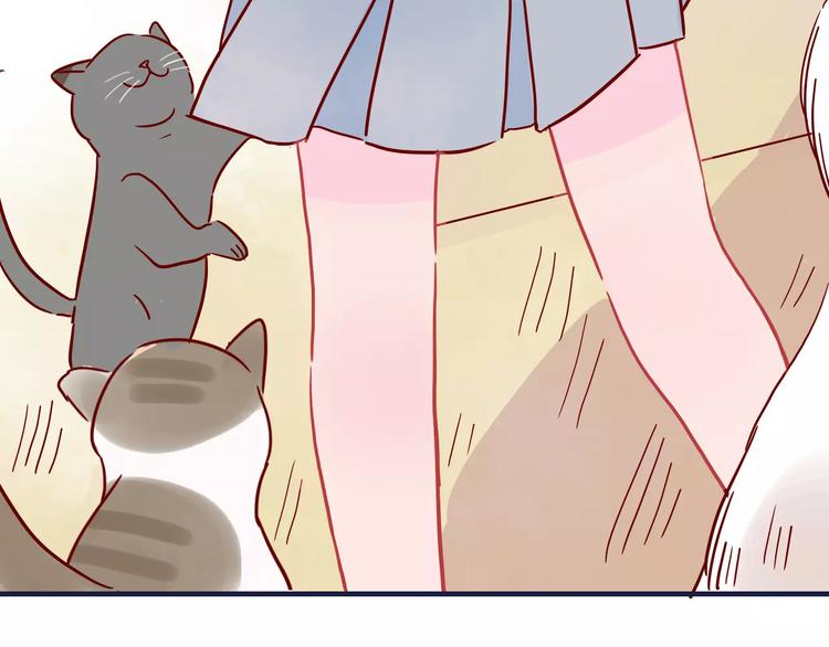 第10话 撸猫光环？(1/2)-第10话