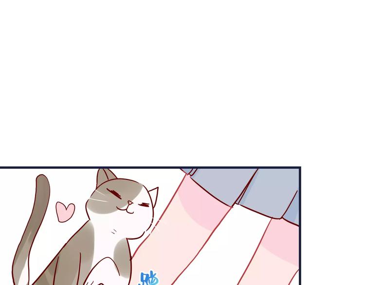 第10话 撸猫光环？(1/2)-第10话