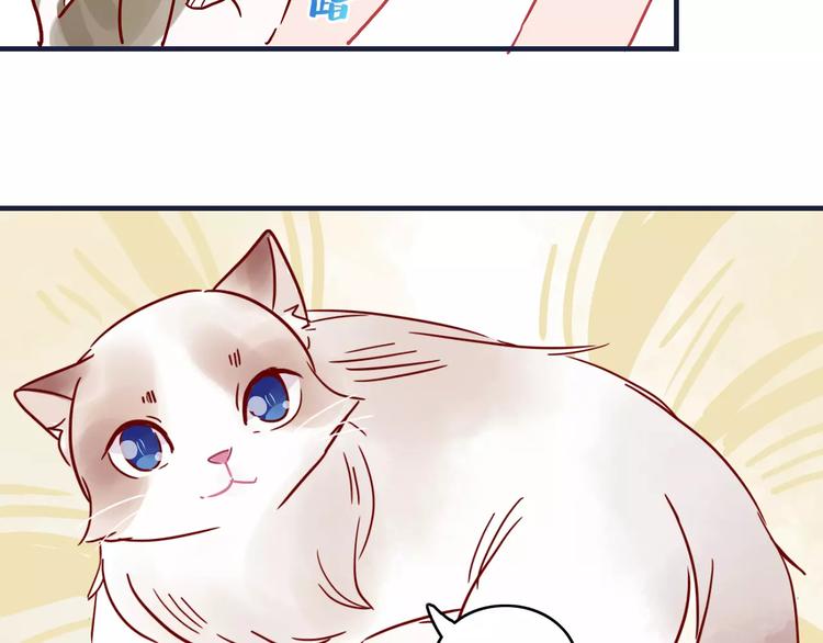 第10话 撸猫光环？(1/2)-第10话