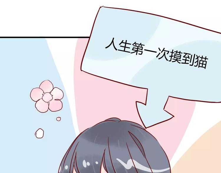 第10话 撸猫光环？(1/2)-第10话