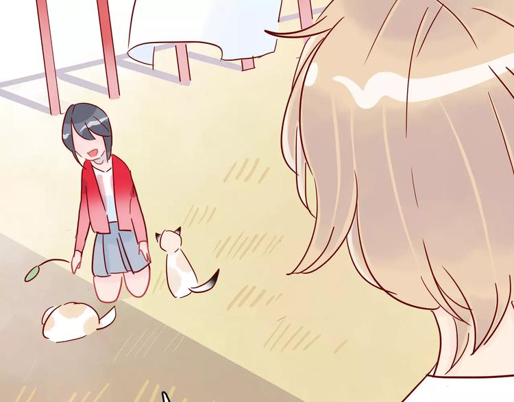 第10话 撸猫光环？(1/2)-第10话