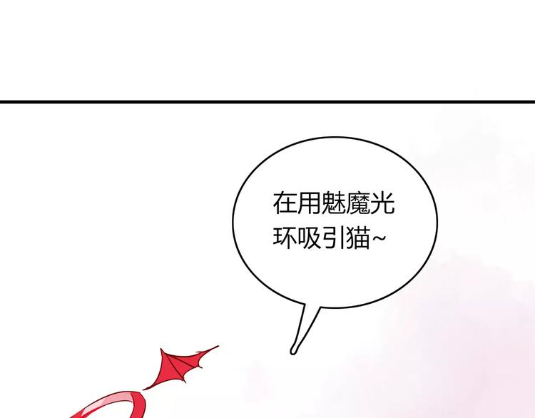 第10话 撸猫光环？(1/2)-第10话