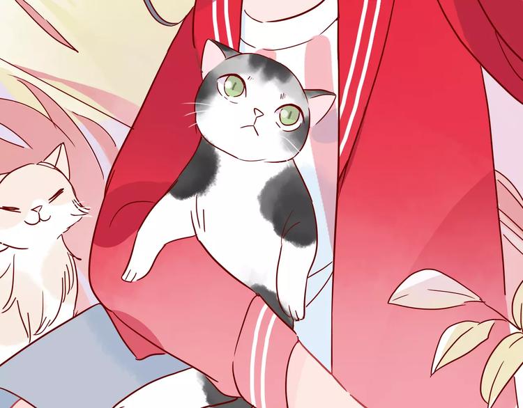 第10话 撸猫光环？(1/2)-第10话