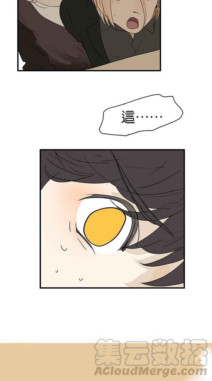 18不限 - [第175話] 是貓 - 4