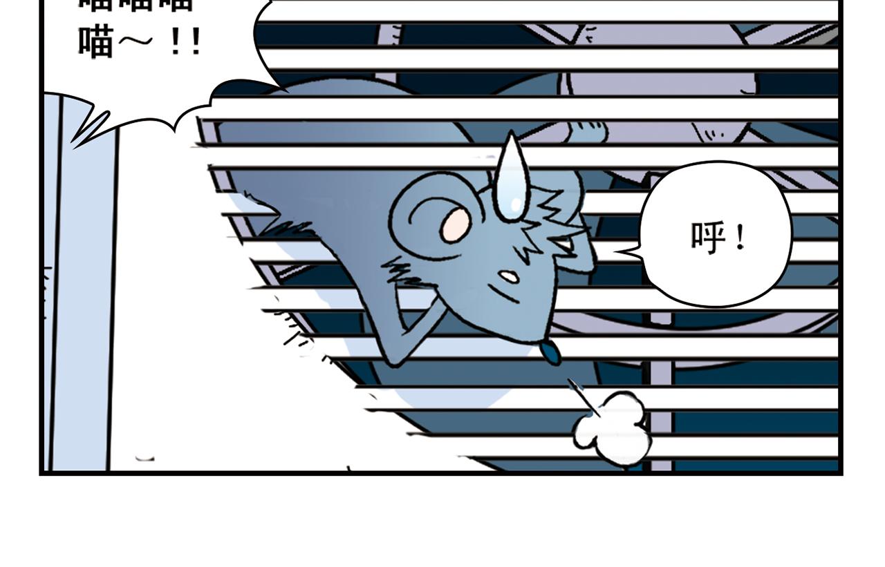 第68话 团团转的PIAPIA(1/2)-第68话