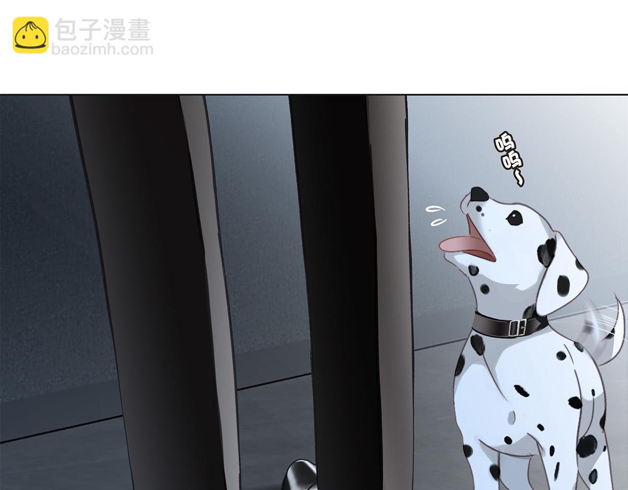 80：顾总的心意(1/3)-第88话