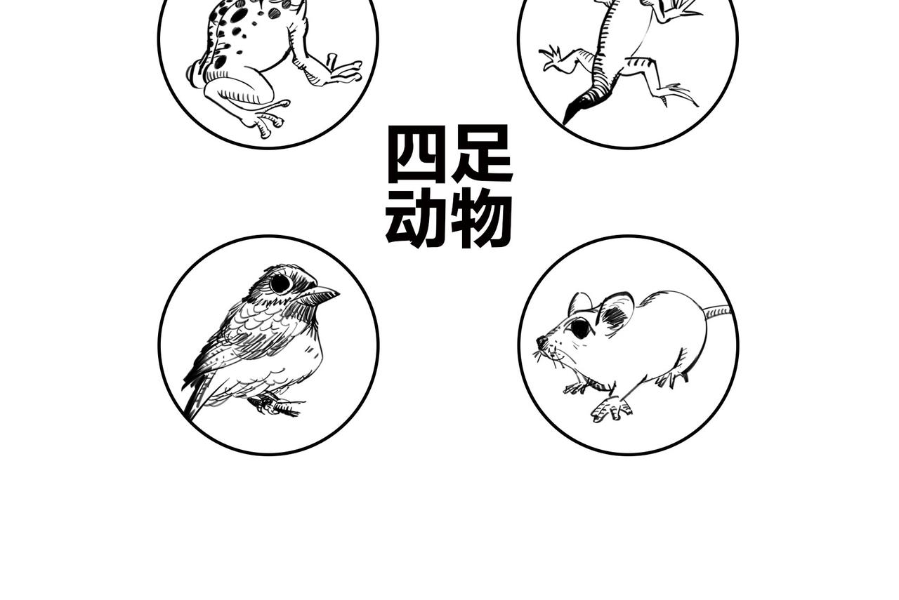 〓火箭粗不粗，那得看&hellip;马屁肥不肥？〓(1/2)-第102话