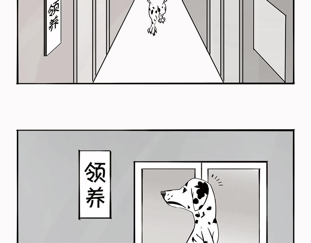 〓宠物医院〓-第104话