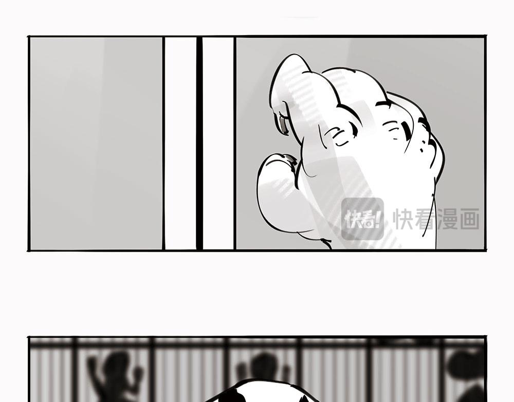 〓宠物医院〓-第104话