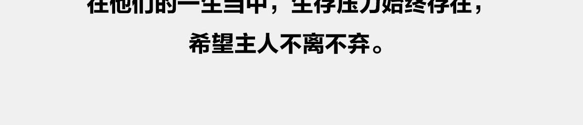 1小時看懂相對論 - 〓閉關練級，點亮插畫技能〓 - 3