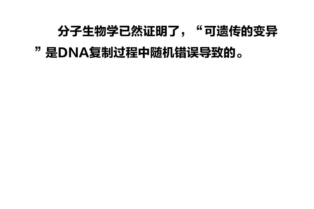 〓佩奇、麦兜、八戒？未来，它有方向么？〓(1/2)-第98话